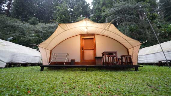 Tenda Bungbuai 3