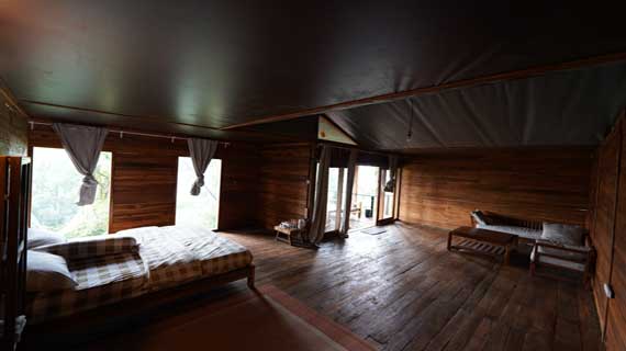 Tenda Luxury 3