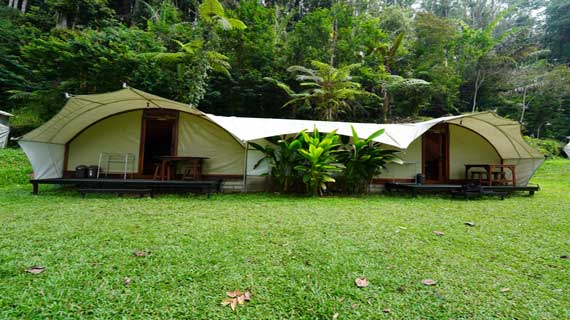 Tenda Bungbuai 4